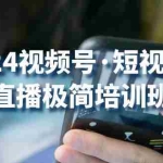 (10797期)2024视频号·短视频+直播极简培训班:抓住视频号风口,流量红利