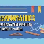 (10801期)教辅-短视频特训营: 素人口播教辅赛道做短视频带货,单月做到20w佣金