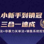 (10799期)从小新手到销冠 三合一速成:销售3法+非暴力关单法+销售系统挖需课 (27节)