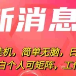 (10800期)最新电脑挂机,简单无脑,日入2000+适合新手小白个人可矩阵,工作室模…