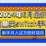 （10831期）2024年6月最新闲鱼卖switch游戏手柄，新手月入过万的第一个好项目