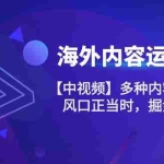 (10833期)海外内容 运营课【中视频】多种内容运营玩法 风口正当时 掘金好时机-101节