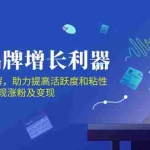 (10849期)DTC 品牌 增长利器:Facebook Group私域 营销,提高活跃度和粘性 实现