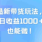 (10858期)视频号最新带货玩法,流量爆炸,单日收益1000+,0粉也能做!