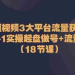 (10873期)短视频3大平台·流量 获客:从0-1实操起盘做号+流量 创收(18节课)