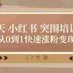 （10869期）28天 小红书 突围培训营，从0到1快速涨粉变现（17节课）