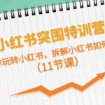 （10868期）小红书突围特训营，带你玩转小红书，拆解小红书如何赚钱（11节课）
