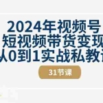 (10931期)2024年视频号短视频带货变现从0到1实战私教课(31节视频课)