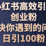 （10929期）小红书高效引流创业粉，解决你遇到的问题，日引100粉