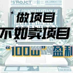（10930期）为什么做项目不如卖项目？我的100W+盈利之路