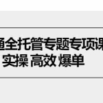 (10917期)速卖通 全托管专题专项课程,实操 高效 爆单(11节课)