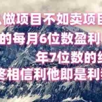 做项目不如卖项目,每月6位数盈利,年7位数经验