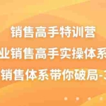 (10939期)销售-高手特训营,美业-销售高手实操体系课,三大销售体系带你破局-38节