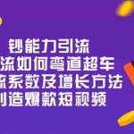 (10938期)钞 能 力 引 流:投流弯道超车,投流系数及增长方法,创造爆款短视频-20节