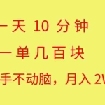 (10974期)一天10 分钟 一单几百块 简单无脑操作 月入2W+教学