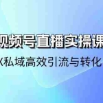 (10966期)21天-视频号直播实操课,视频号X私域高效引流与转化(22节课)