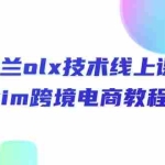 （10967期）波兰olx 技术线上课，kim跨境电商教程