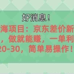 (10989期)越早知道越能赚到钱的蓝海项目:京东大平台操作,一单利润20-30,简单…