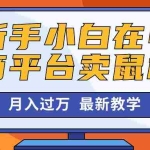 (10978期)新手小白在电商平台卖鼠标月入过万,最新赚钱教学