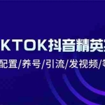 (10998期)海外TIKTOK抖音精英实操班:注册下载/配置/养号/引流/发视频/等等