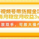 (11010期)最新视频号带货掘金项目,每月稳定月收益3w+,解放双手,可放大操作