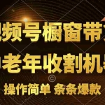 （11009期）[你的孩子成功取得高位]视频号最火爆赛道，橱窗带货，流量分成计划，条…