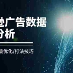 (11004期)亚马逊-广告数据拆解分析,分析框架/层级优化/打法技巧(8节课)