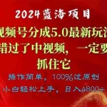 (11032期)2024蓝海项目,视频号分成计划5.0最新玩法,错过了中视频,一定要抓住…