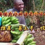 (11030期)奥德彪经典语录小项目,爆款推荐,易上手,收益高