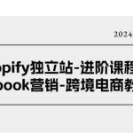 （11043期）Shopify独立站-进阶课程-Facebook营销-跨境电商教程（25节）