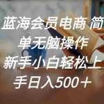 （11068期）蓝海会员电商 简单无脑操作 新手小白轻松上手日入500＋