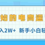 （11081期）从0开始的电商运营教学，月入2W+，新手小白轻松躺赚