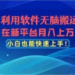 (11078期)利用软件无脑搬运,在新平台月入上万,小白也能快速上手