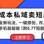 （11118期）短剧最新玩法，0成本私域卖短剧，会复制粘贴即可月入过万，一部手机即…
