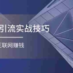 (11108期)互联网引流实操技巧(适合微商,吸引宝妈),宅家通过互联网赚钱(17节)