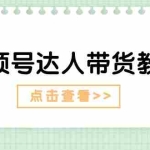 (11162期)视频号达人带货教程:达人剧情打法(长期)+达人带货广告(短期)