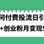 (11155期)如何通过付费投流日引流100+创业粉月变现5W+