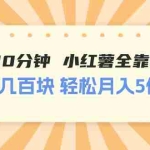(11146期)一天10分钟 小红薯全靠搬运  一单几百块 轻松月入5位数