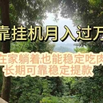 (11144期)挂机掘金,日入1000+,躺着也能吃肉,适合宝爸宝妈学生党工作室,电脑…
