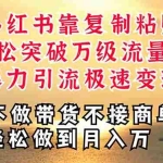 (11139期)深层揭秘小红书,靠复制粘贴,一周突破万级流量池,无脑搬运,暴力引流…
