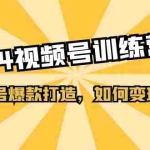 （11135期）2024视频号训练营，视频号爆款打造，如何变现教程（20节课）