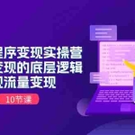 (11256期)抖音小程序变现实操营,小程序变现的底层逻辑,实现流量变现(10节课)