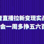 (11254期)抖音直播拉新变现实操课,学会一周多挣五六百(15节课)