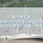 (11216期)某付费文【年赚100万的虚拟项目打法】全文5000多字,没有一句废话