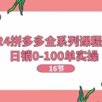 (11222期)2024拼多多全系列课程实操,日销0-100单实操【16节课】