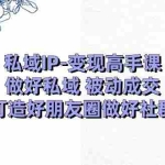 (11209期)私域IP-变现高手课:做好私域 被动成交,打造好朋友圈做好社群(18节)