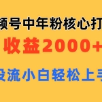 (11205期)视频号中年粉核心玩法 日收益2000+ 不投流小白轻松上手