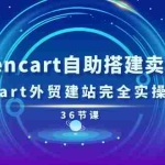 (11181期)玩转zencart自助搭建卖货商城,zencart外贸建站完全实操手册-36节课