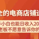 (11266期)电商店铺运营教学,新手小白也能日收入2000+,电商老板不愿意告诉你的机密