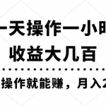 (11263期)一天操作一小时,收益大几百,动手操作就能赚,月入2万+教学